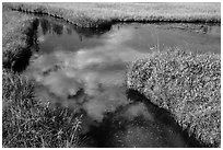 Cloud reflected in Kings Creek. Lassen Volcanic National Park ( black and white)