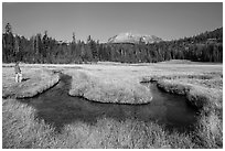 Visitor Looking, Upper Meadow and Lassen Peak. Lassen Volcanic National Park ( black and white)