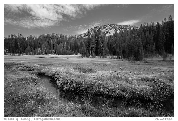 Upper Meadow with stream in late summer. Lassen Volcanic National Park (black and white)