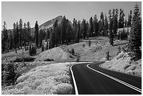 Road passing by Rabbitbrush in bloom. Lassen Volcanic National Park ( black and white)