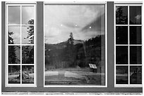 Forest and Peaks, Visitor Center window reflexion. Lassen Volcanic National Park ( black and white)