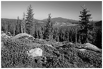 View from Inspiration Point. Lassen Volcanic National Park ( black and white)