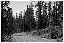 Gravel road. Lassen Volcanic National Park ( black and white)