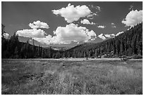 Drakesbad meadow, Warner Valley. Lassen Volcanic National Park ( black and white)
