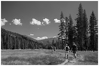Hikers, Warner Valley. Lassen Volcanic National Park ( black and white)