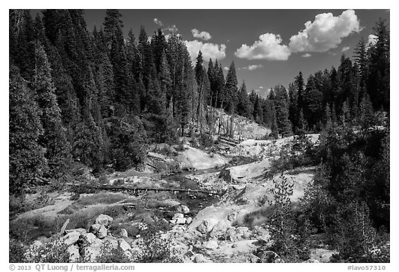 Hot Springs Creek, afternoon. Lassen Volcanic National Park (black and white)