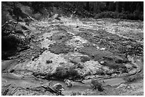 Stream and fumaroles, Devils Kitchen. Lassen Volcanic National Park ( black and white)