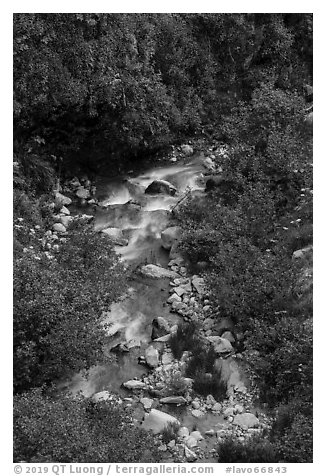 Mill Creek. Lassen Volcanic National Park (black and white)