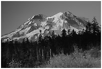 Mt Rainier at sunset from the west side. Mount Rainier National Park ( black and white)