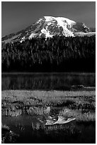 Mt Rainier reflected in Reflection lake, early morning. Mount Rainier National Park, Washington, USA. (black and white)