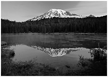 Mount Rainier reflected in lake at dawn. Mount Rainier National Park ( black and white)