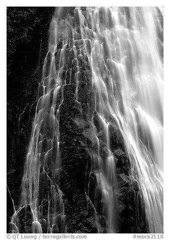 Narada falls. Mount Rainier National Park, Washington, USA.