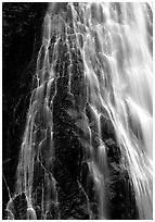 Narada falls. Mount Rainier National Park, Washington, USA. (black and white)