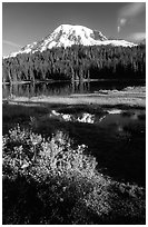 Mt Rainier and reflection, early morning. Mount Rainier National Park, Washington, USA. (black and white)
