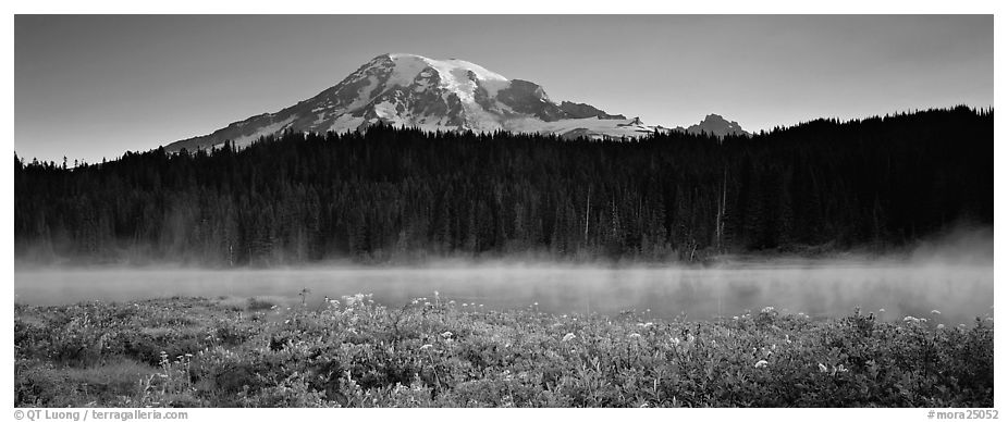 Wildlflowers, rising fog, and Mt Rainer at dawn. Mount Rainier National Park (black and white)