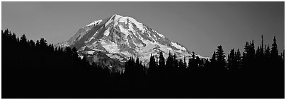 Mount Rainier above forest in silhouette. Mount Rainier National Park (Panoramic black and white)