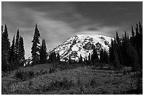 Moonlit Meadow and Mt Rainier. Mount Rainier National Park ( black and white)