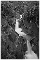 Cascades, Van Trump Creek. Mount Rainier National Park ( black and white)
