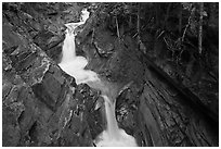 Van Trump Creek. Mount Rainier National Park ( black and white)