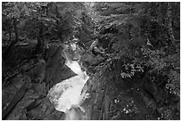 Water rushes down Van Trump Creek. Mount Rainier National Park, Washington, USA. (black and white)