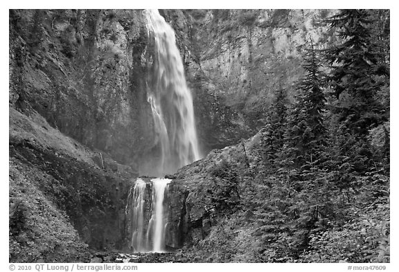 Forest and waterfall. Mount Rainier National Park (black and white)