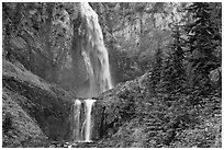 Forest and waterfall. Mount Rainier National Park ( black and white)