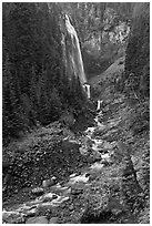 320-foot waterfall (Comet Falls). Mount Rainier National Park ( black and white)