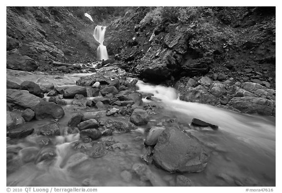 Creek and waterfall. Mount Rainier National Park, Washington, USA.
