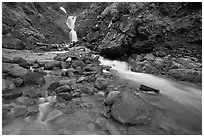 Creek and waterfall. Mount Rainier National Park ( black and white)