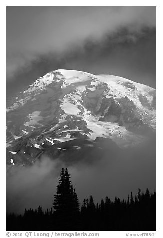 Mountain emerging from clouds. Mount Rainier National Park, Washington, USA.