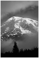 Mountain emerging from clouds. Mount Rainier National Park ( black and white)