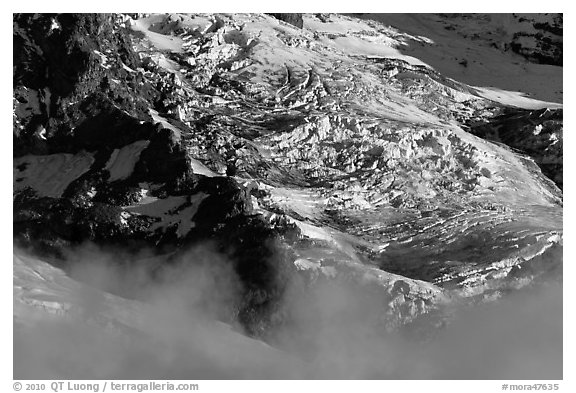 Glaciers and fog. Mount Rainier National Park (black and white)