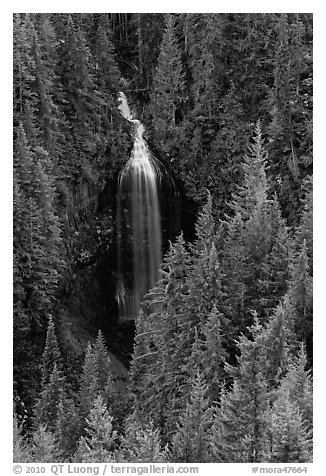 Martha Falls. Mount Rainier National Park (black and white)