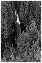 Martha Falls. Mount Rainier National Park ( black and white)