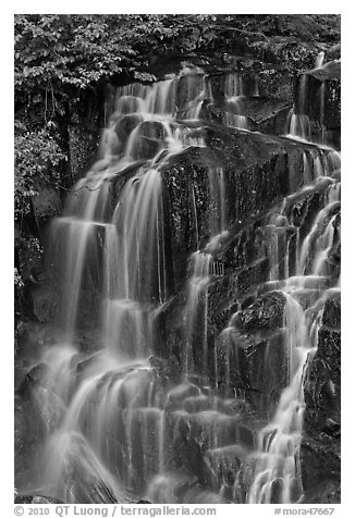 Water cascading over columns of volcanic rock. Mount Rainier National Park (black and white)