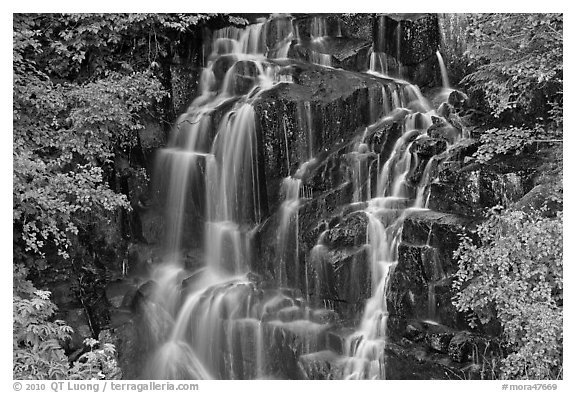 Waterfall over volcanic rock, Stevens Canyon. Mount Rainier National Park (black and white)
