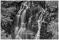 Waterfall over volcanic rock, Stevens Canyon. Mount Rainier National Park ( black and white)