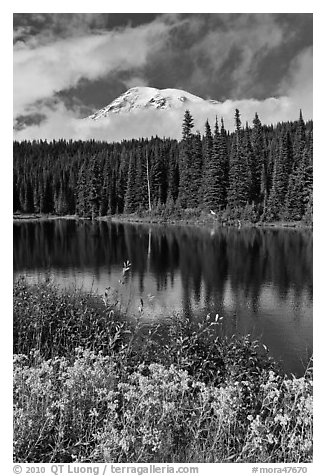 Mount Rainier and clouds seen from reflection lakes. Mount Rainier National Park (black and white)