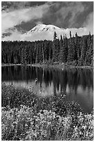 Mount Rainier and clouds seen from reflection lakes. Mount Rainier National Park ( black and white)