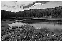 Mount Rainier from Reflection lakes in autumn. Mount Rainier National Park ( black and white)