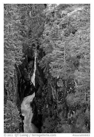 Deep narrow box canyon with vertical walls. Mount Rainier National Park, Washington, USA.
