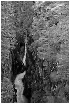 Deep narrow box canyon with vertical walls. Mount Rainier National Park ( black and white)