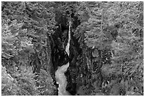 Mossy green basalt canyon. Mount Rainier National Park ( black and white)