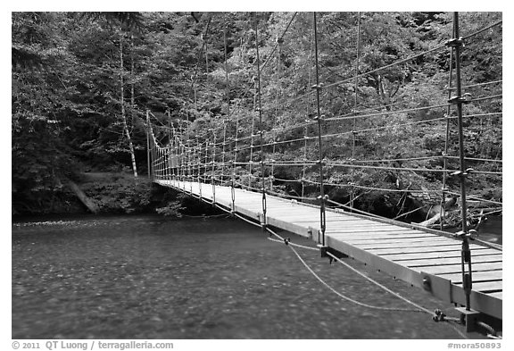 Suspension footbridge over Ohanapecosh River. Mount Rainier National Park (black and white)