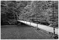 Suspension footbridge over Ohanapecosh River. Mount Rainier National Park, Washington, USA. (black and white)