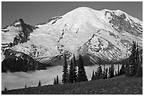 Meadow and Mt Rainier above fog-filled valley. Mount Rainier National Park ( black and white)