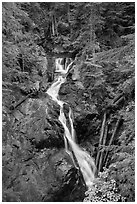 Deer Creek Falls. Mount Rainier National Park ( black and white)