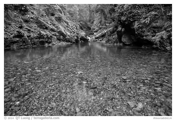 Pebbles in the bed of Panther Creek. Mount Rainier National Park (black and white)