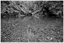Pebbles in the bed of Panther Creek. Mount Rainier National Park ( black and white)