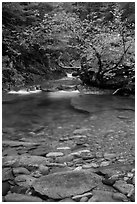 Water flowing in Panther Creek. Mount Rainier National Park ( black and white)